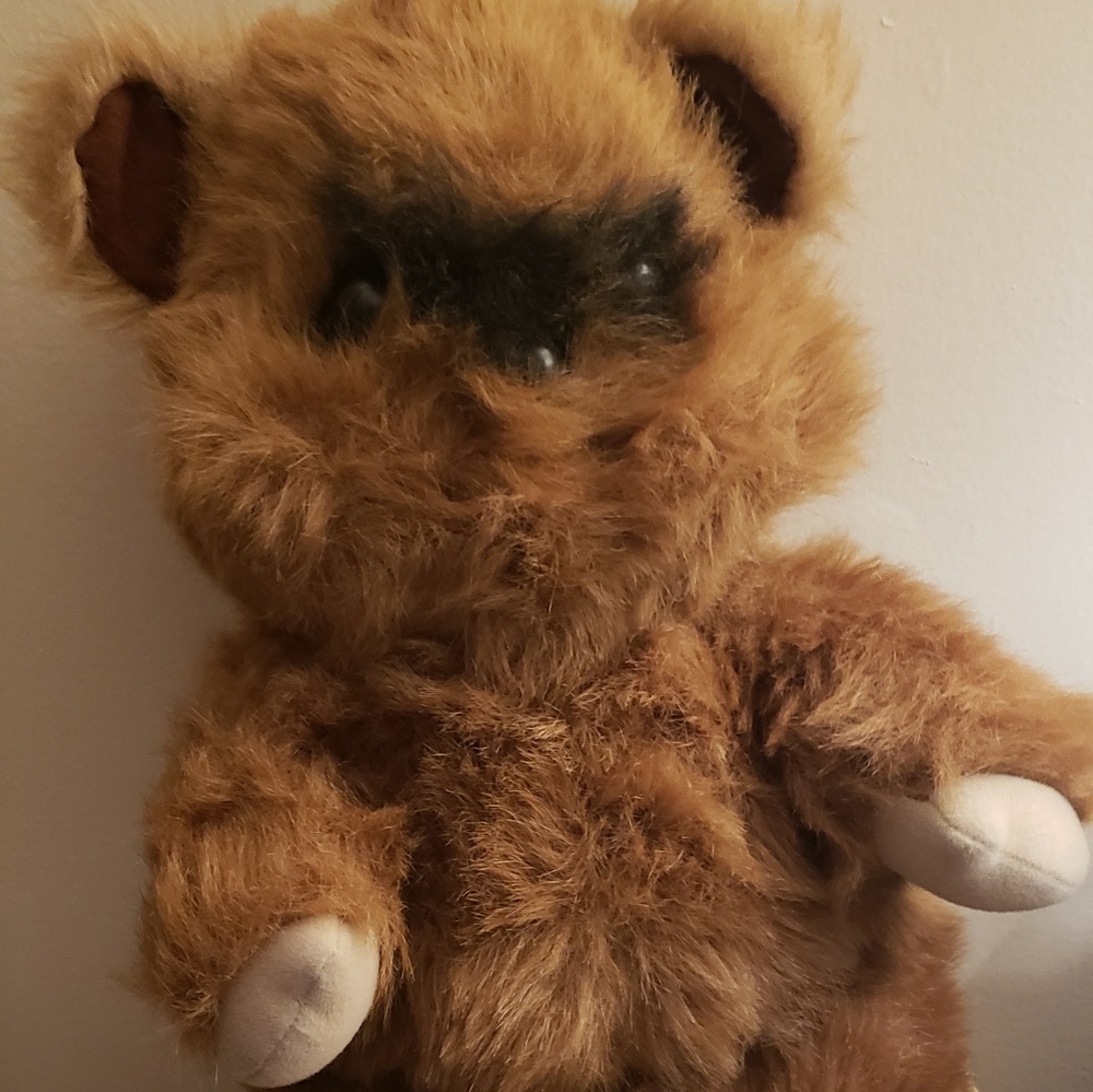 Wicket the Ewok